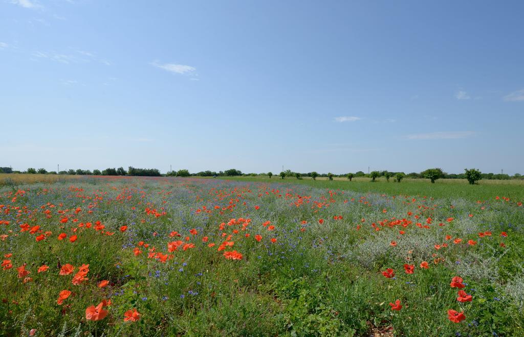 Agriturismo Residence Caporale Remanzacco Εξωτερικό φωτογραφία